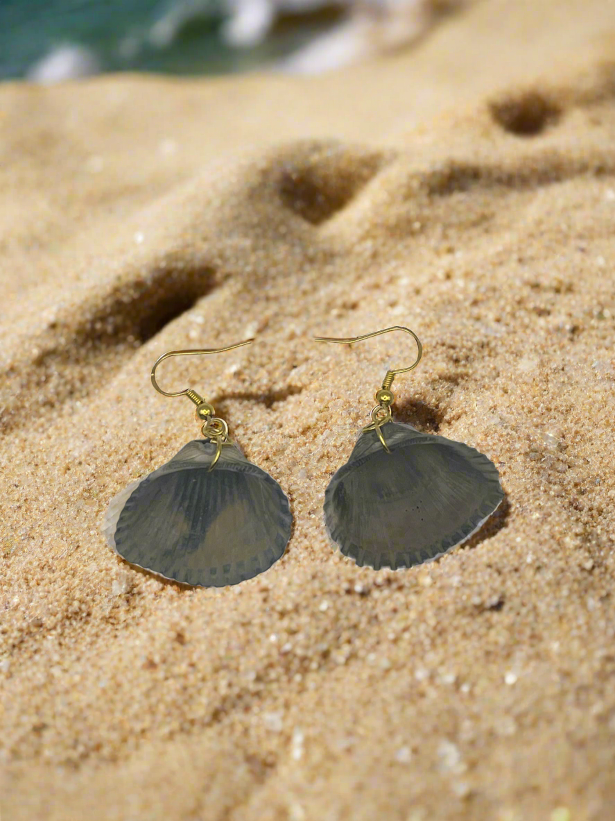 Cockle Shell Clam Earrings