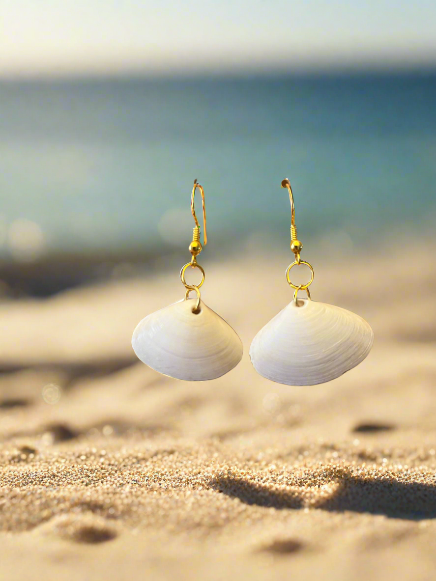 Disc Dosinia Seashell Earrings