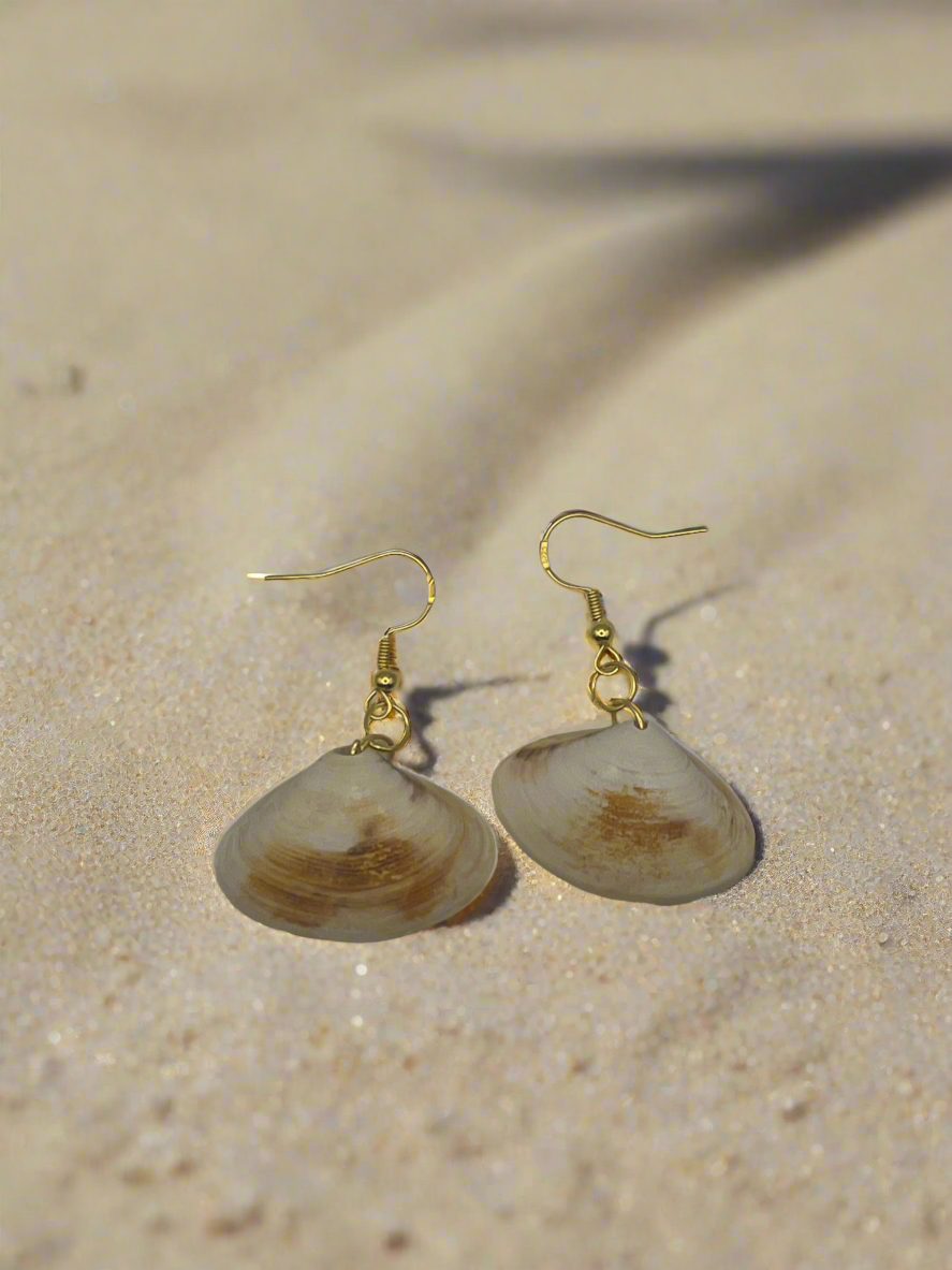 Disc Dosinia Shell Earrings