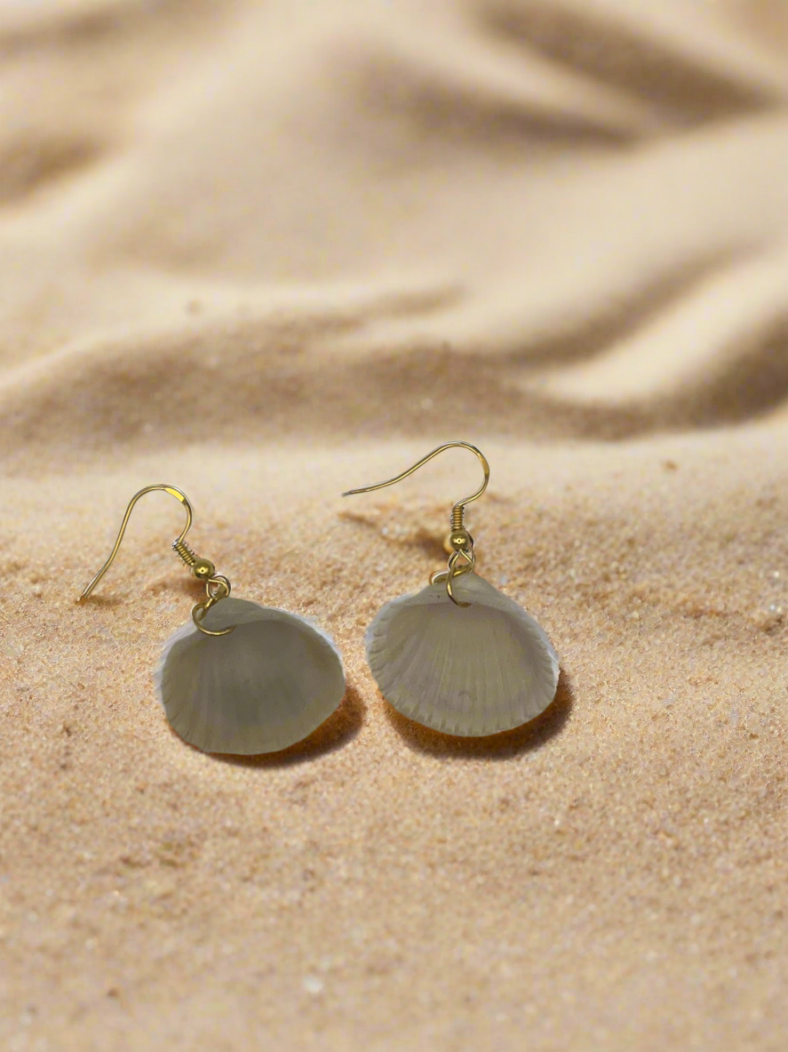 Cockle Shell Clam Earrings