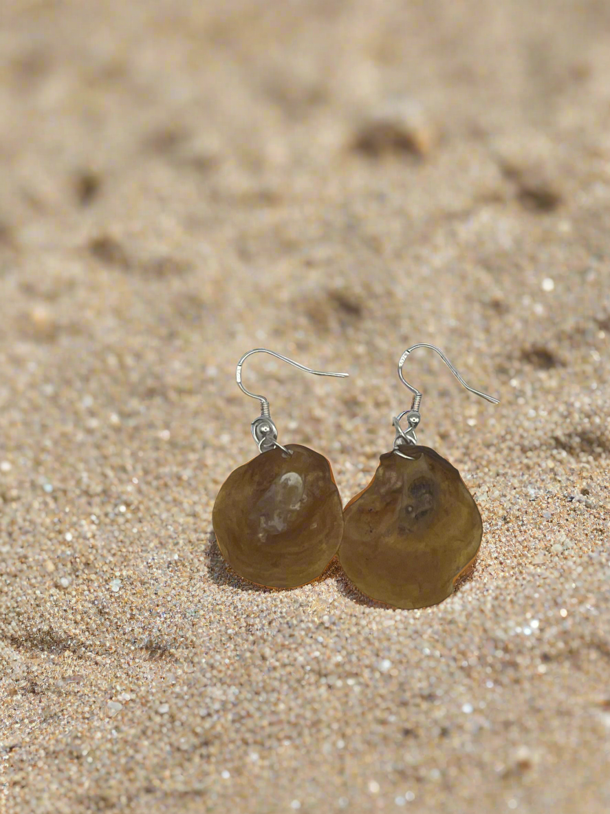 Jingle Shell Earrings