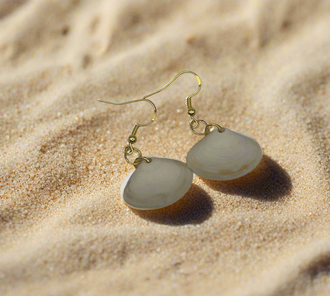 Disc Dosinia Shell Earrings