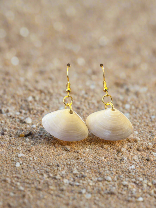 Disc Dosinia Shell Earrings