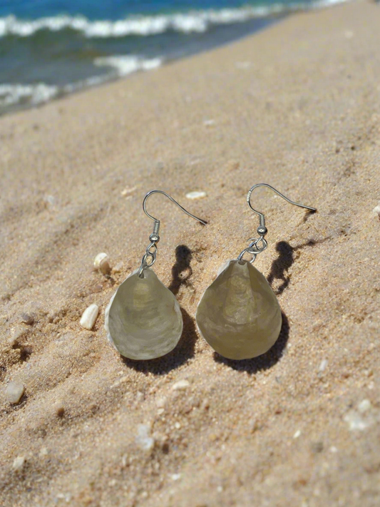 Jingle Shell Earrings