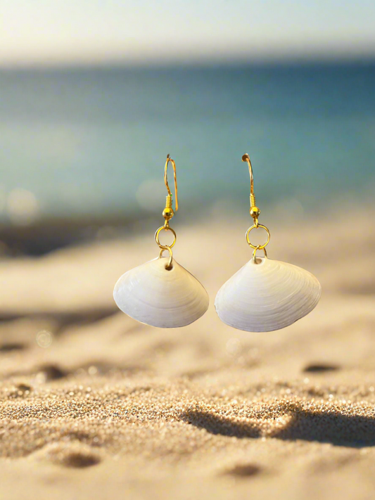 Disc Dosinia Seashell Earrings