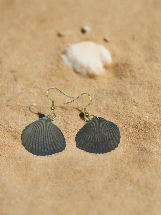 Cockle Shell Clam Earrings