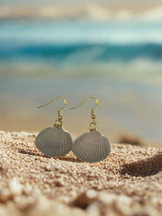Cockle Shell Clam Earrings