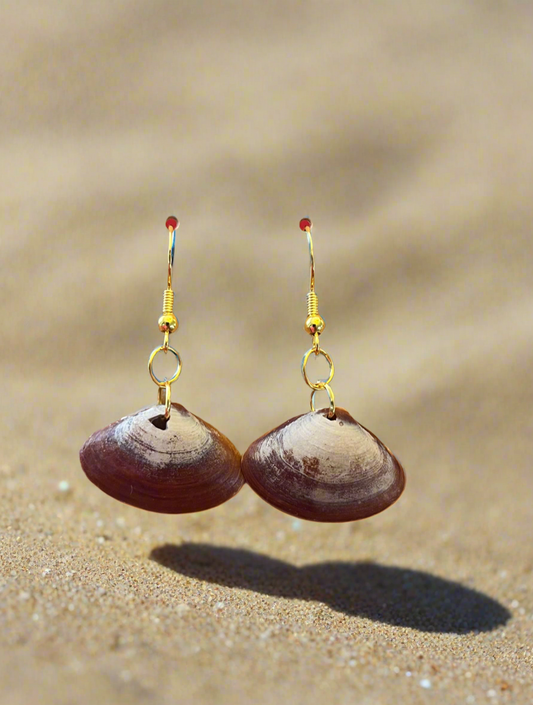 Disc Dosinia Seashell Earrings