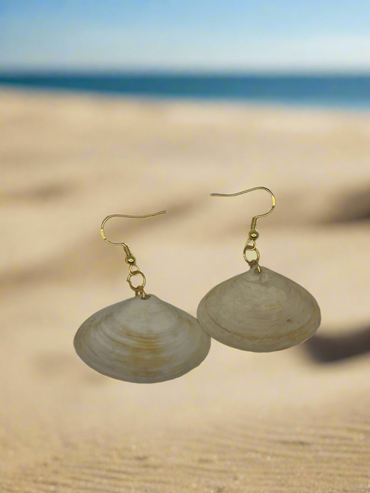 Disc Dosinia Shell Earrings