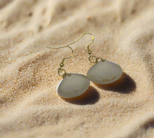 Disc Dosinia Shell Earrings